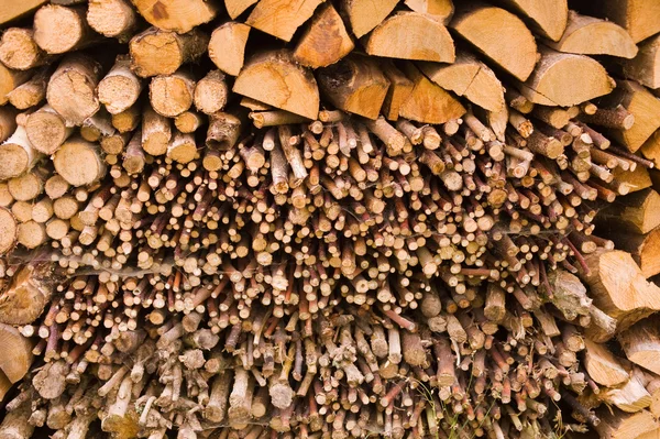 Stacked wood log — Stock Photo, Image