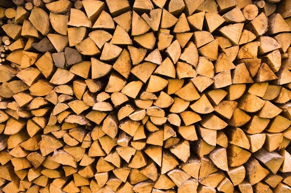 Stacked wood log — Stock Photo, Image