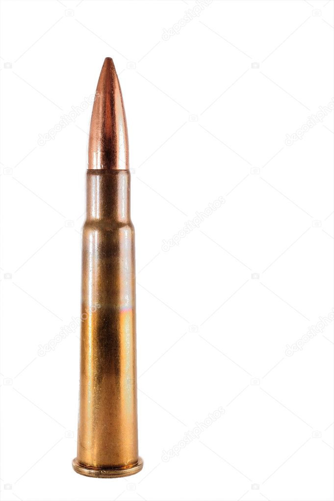 British .303 cartridge