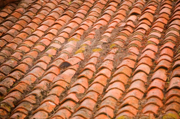 Shingle roof after storm — Stock Photo, Image
