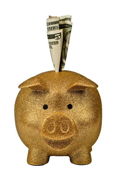 Gold Piggy Bank with Bills — Stock Photo, Image