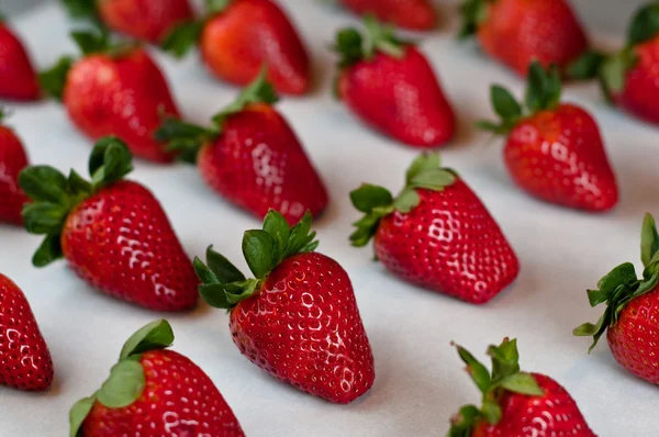 Strawberries in a row — Stock Photo, Image