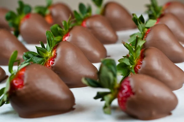 Chocolade behandelde aardbeien in rijen Stockafbeelding