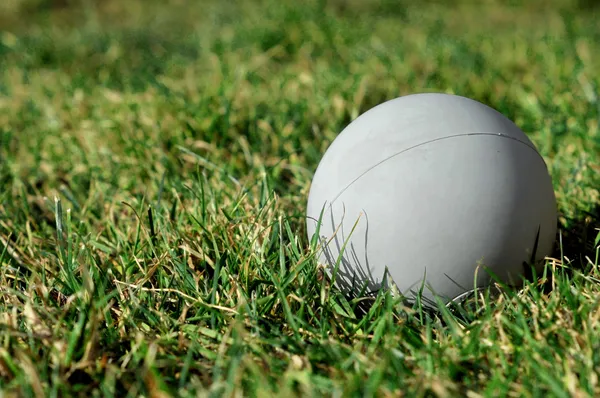 Lacrosse Ball on Grass 1 — Stock Photo, Image