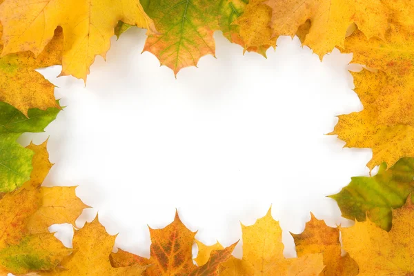 Bingkai warna-warni terbuat dari daun musim gugur — Stok Foto
