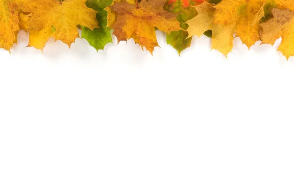 Bunter Rahmen aus Herbstblättern — Stockfoto