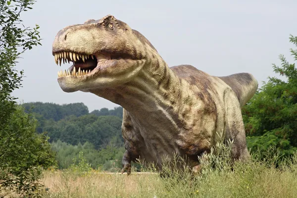 T-rex — Foto de Stock