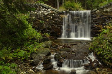 Orman waterfal