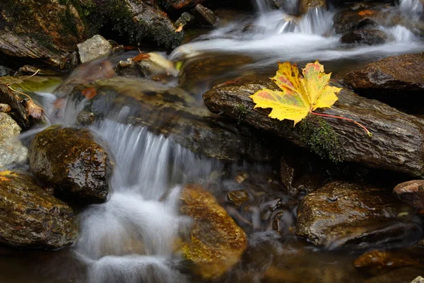 stock image Waterfall