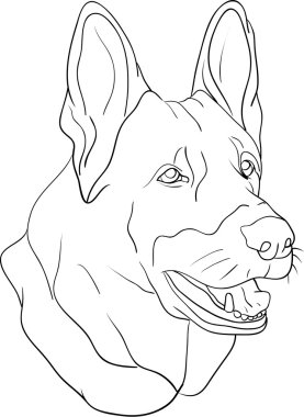 Dog head clipart