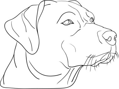 Dog head clipart