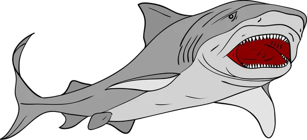 サメ — ストックベクタ