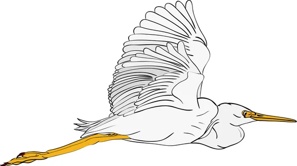 Grande egret —  Vetores de Stock