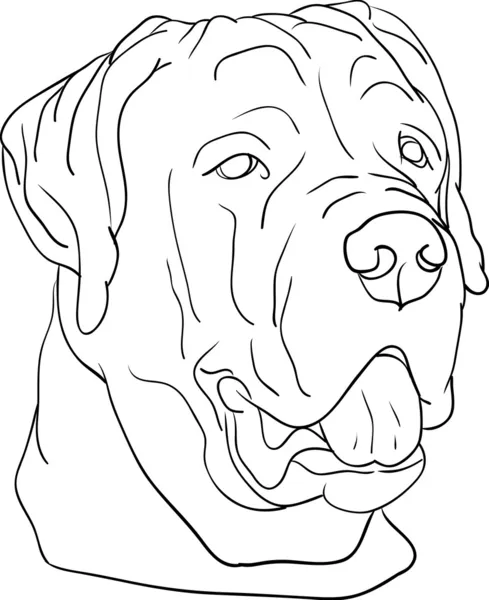 Hond hoofd — Stockvector