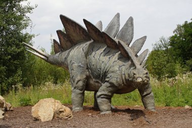 Stegosaurus clipart