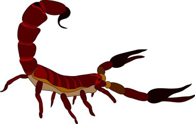 Scorpion clipart