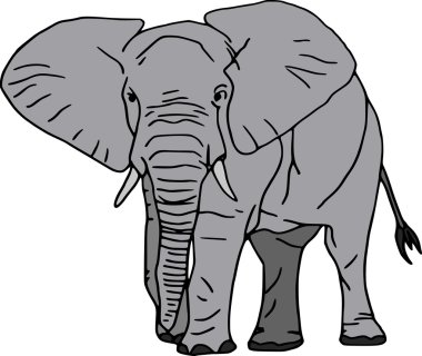 Elefant clipart