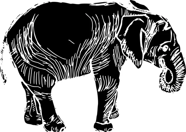 Elefant — Stock vektor