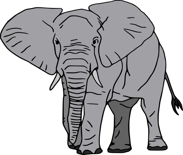 Elefant — стоковий вектор