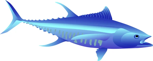 Tuňák — Stockový vektor