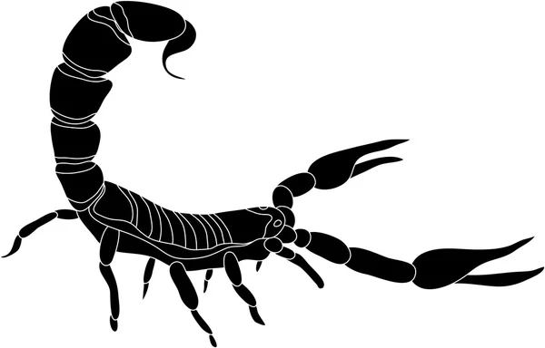 Scorpione — Vettoriale Stock