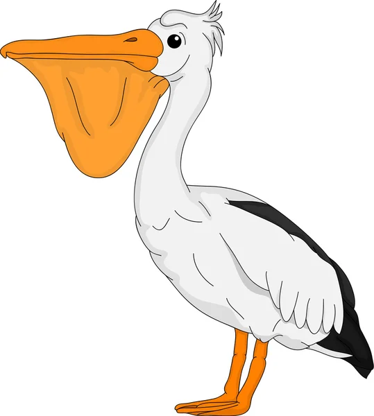 Pelikan — Wektor stockowy