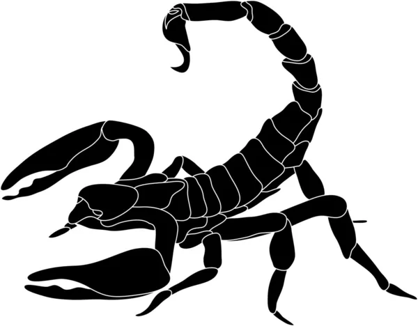 Escorpião — Vetor de Stock