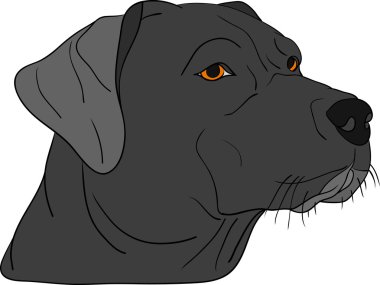 Dog head clipart