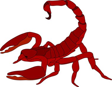 Scorpion clipart