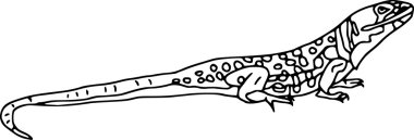 Lizard clipart