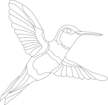 Hummingbird clipart