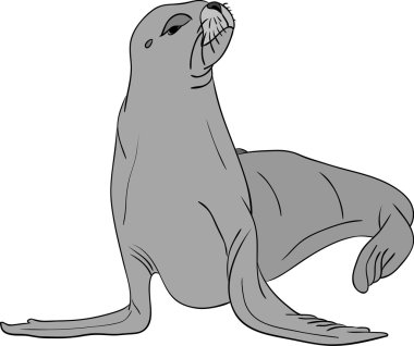 Sea-lion clipart