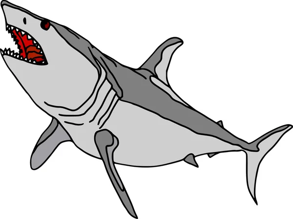 Tiburón 1 — Vector de stock