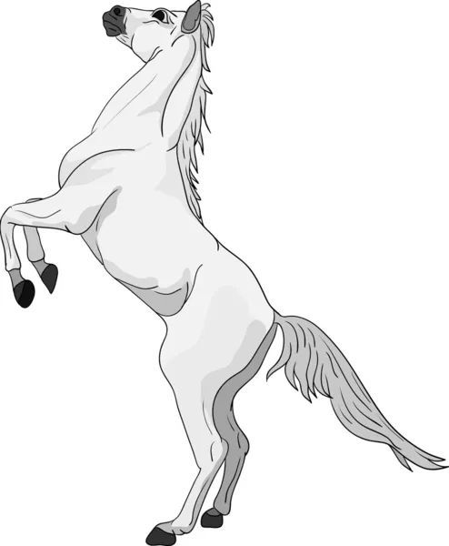 Cavalo — Vetor de Stock