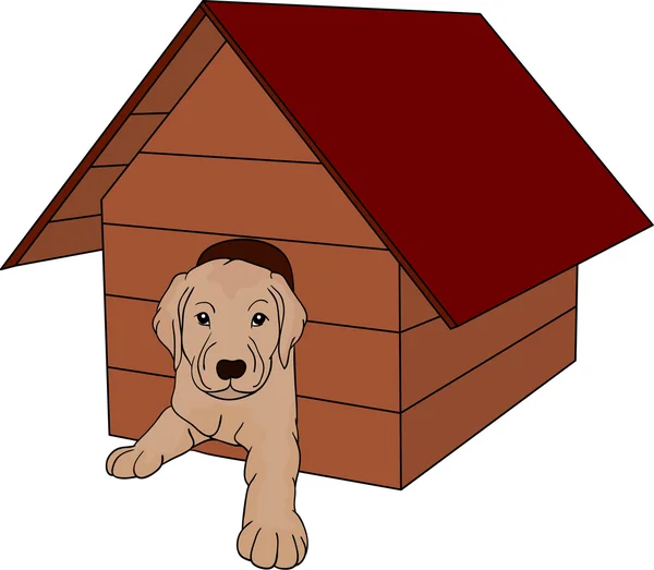 Casa perro — Vector de stock
