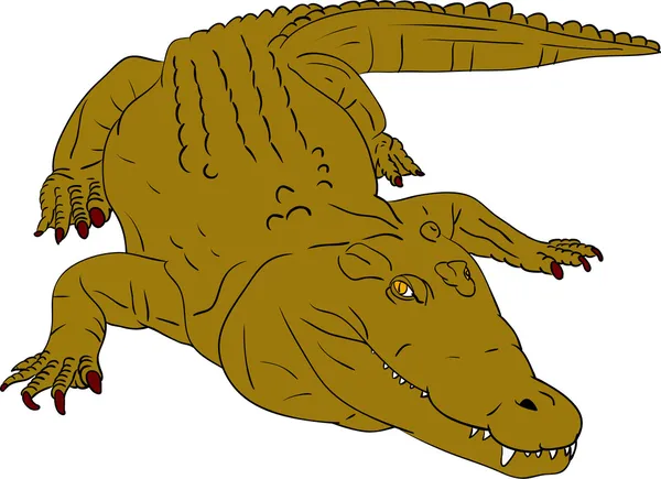 Шкіра крокодила — стоковий вектор