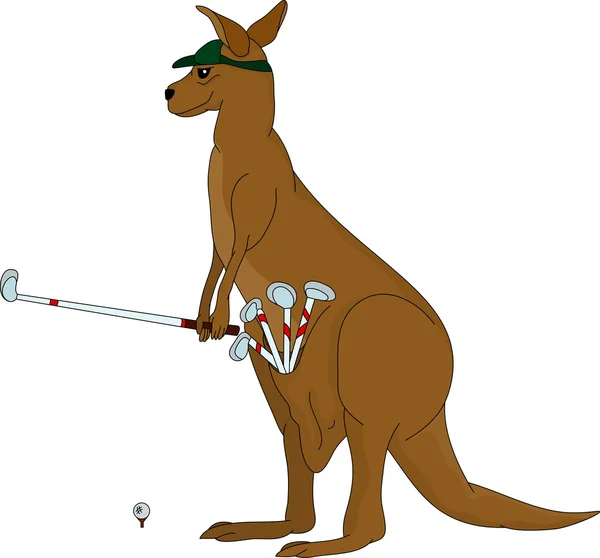Canguro jugando al golf — Vector de stock