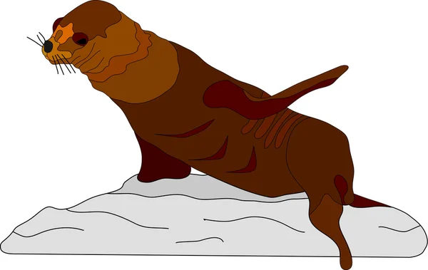 海狮 — 图库矢量图片