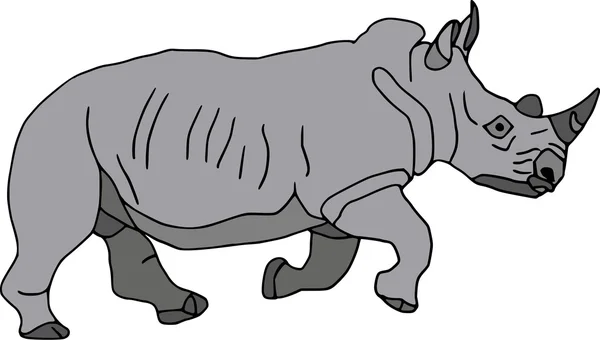 Nosorožec — Stockový vektor