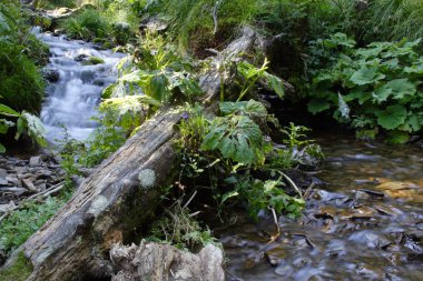 şelale dağlar Nehri üzerinde