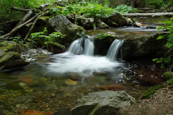 Stock image Waterfall on mountains river