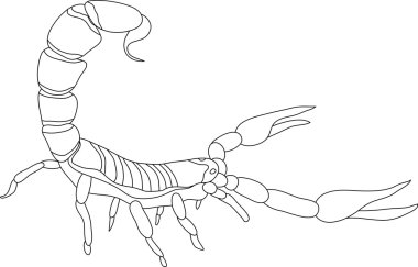 Scorpion clipart