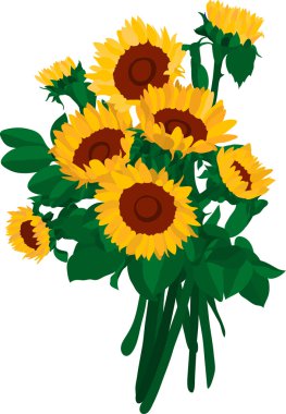 Sunflower clipart