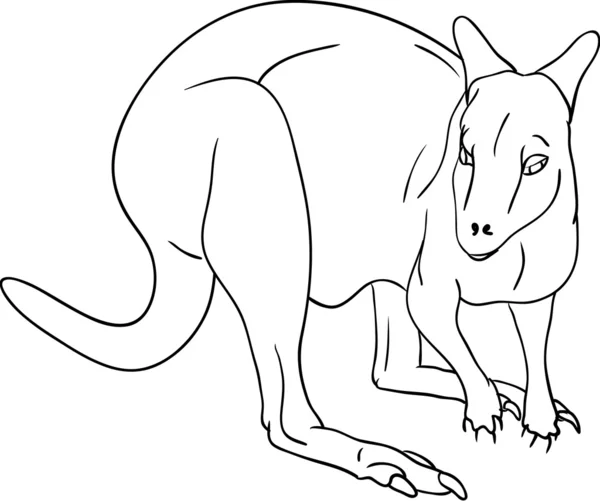 Känguru — Stock vektor