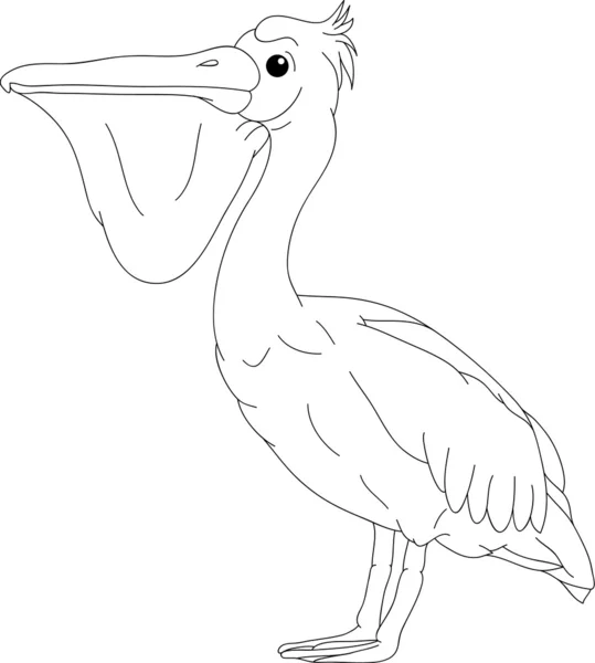 Pelikan — Stock vektor