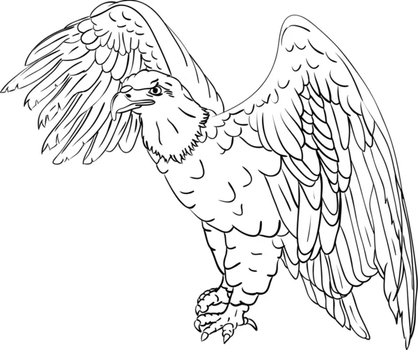 Águila calva — Vector de stock