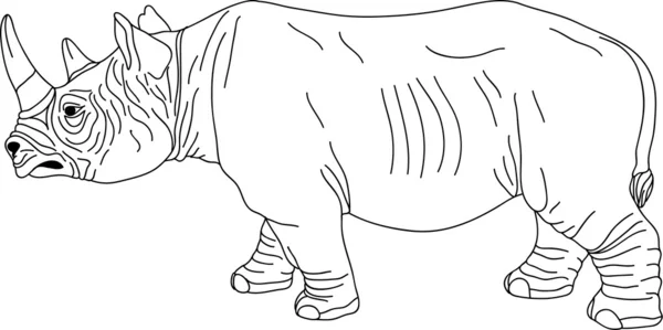 Rhino の輪郭 — ストックベクタ
