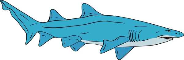 Tiburón — Vector de stock