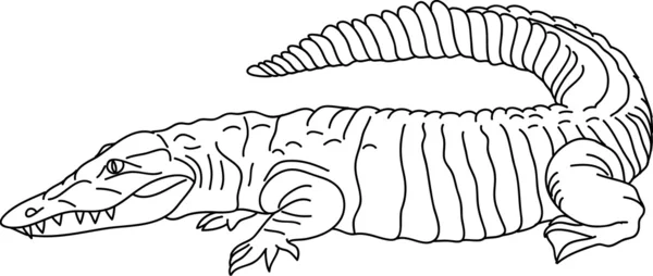 Crocodille — стоковий вектор