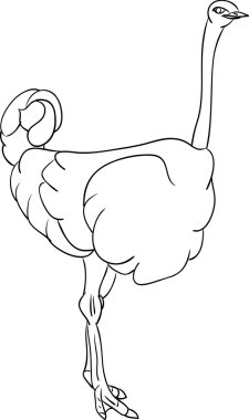 Ostrich clipart